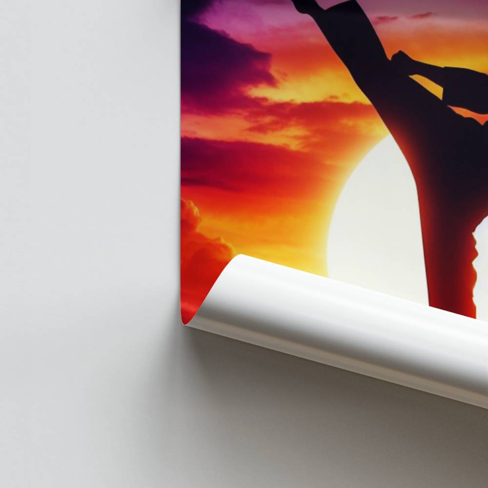 Pôster Fã de Karatê