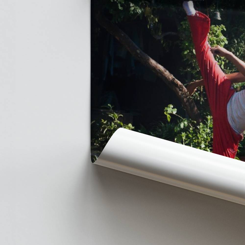 Pôster de domínio do movimento