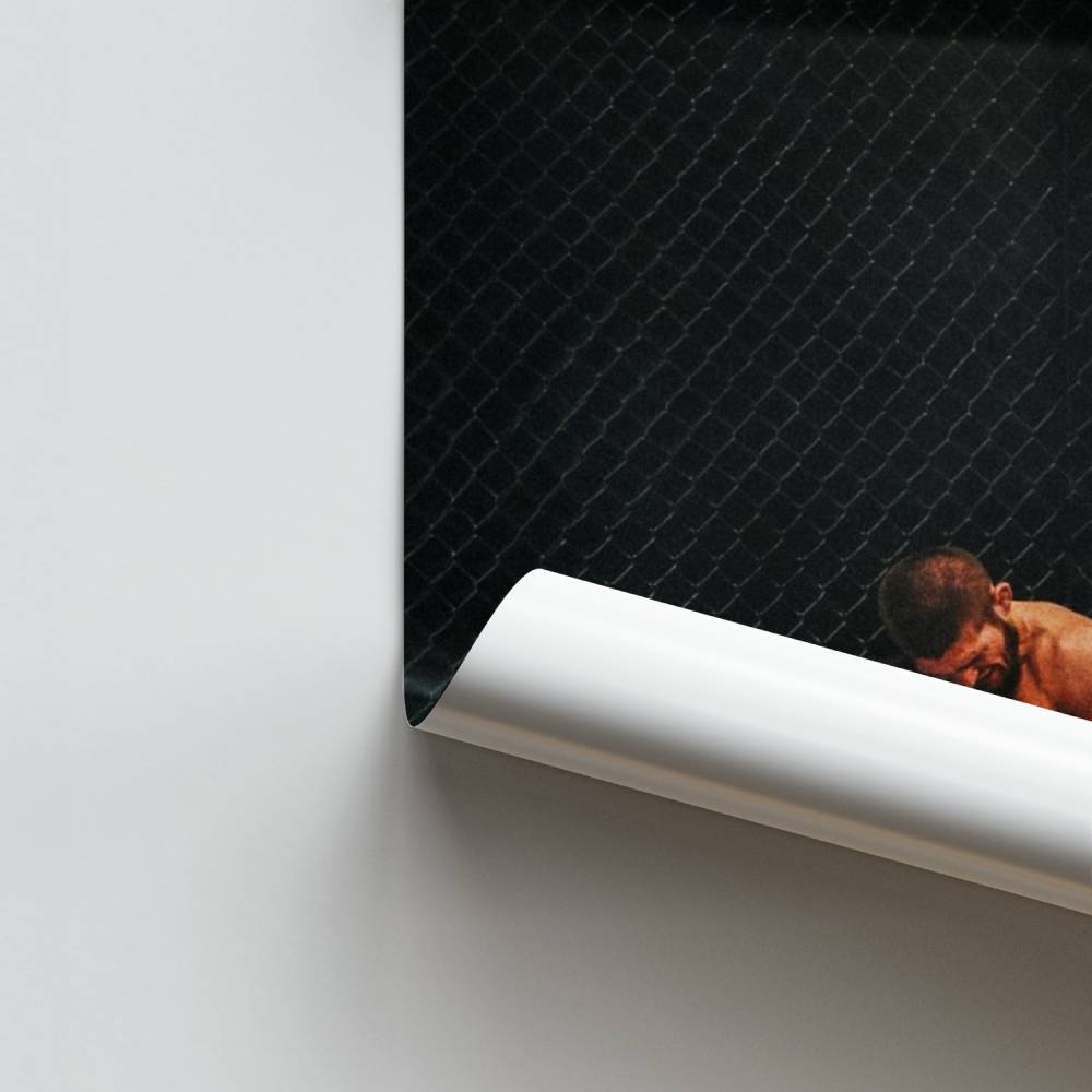 Pôster do Abraço da Força