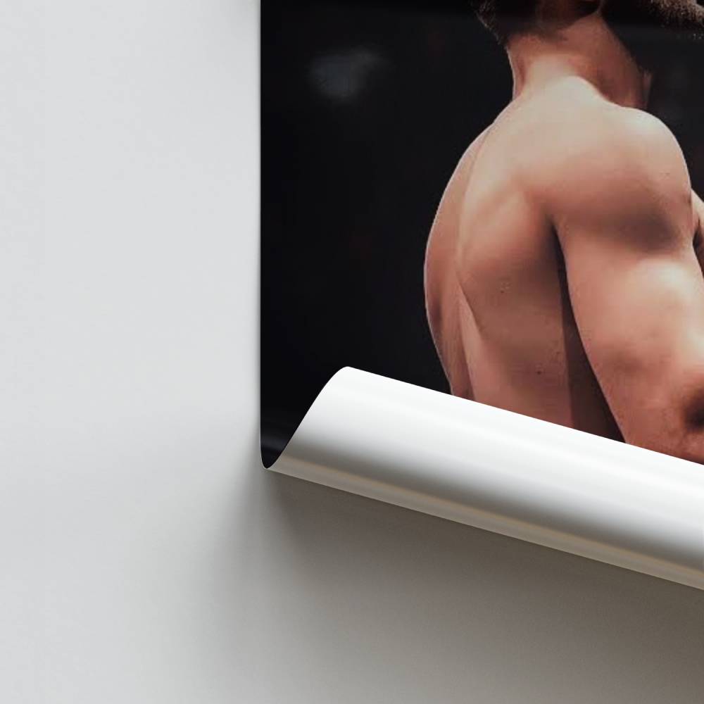 Pôster Guerreiro do Anel