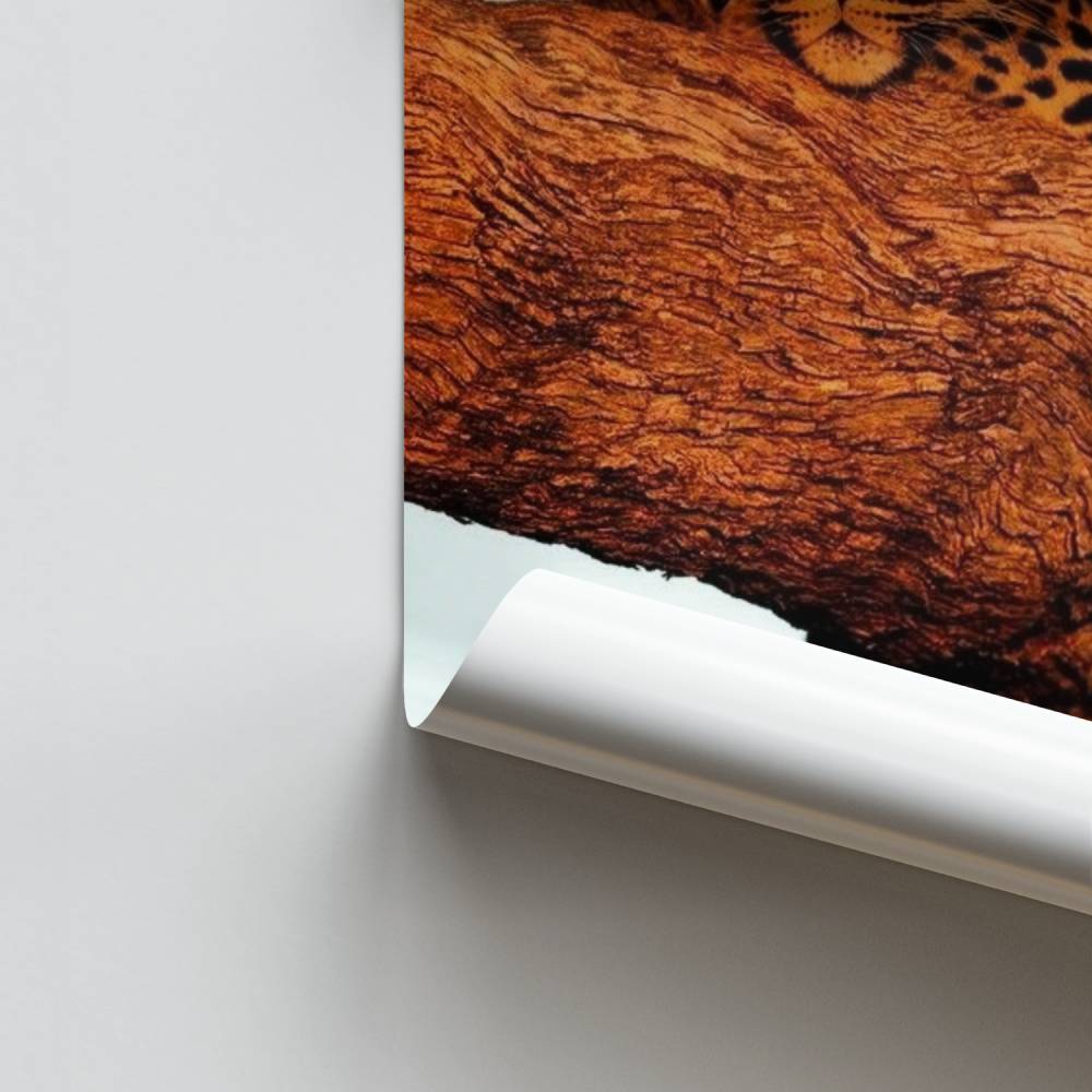 Pôster Descanso de Leopardo