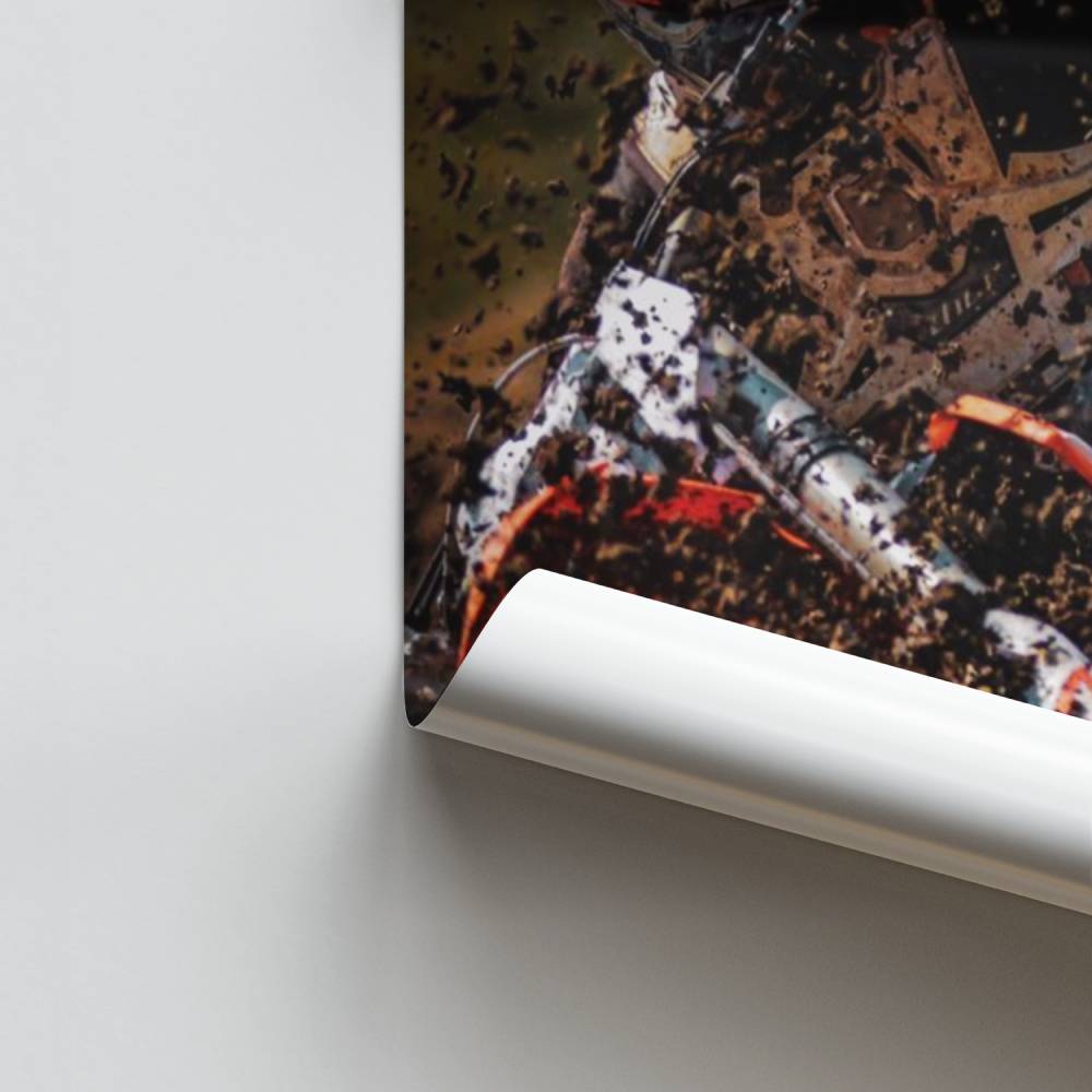 Póster Frenesi da Terra