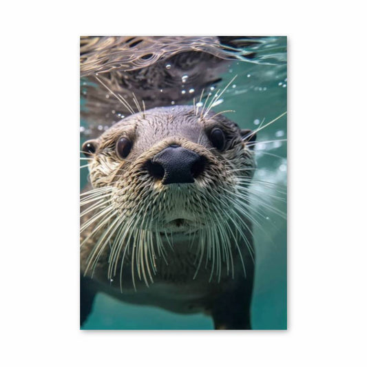 Poster Loutre Plongeuse
