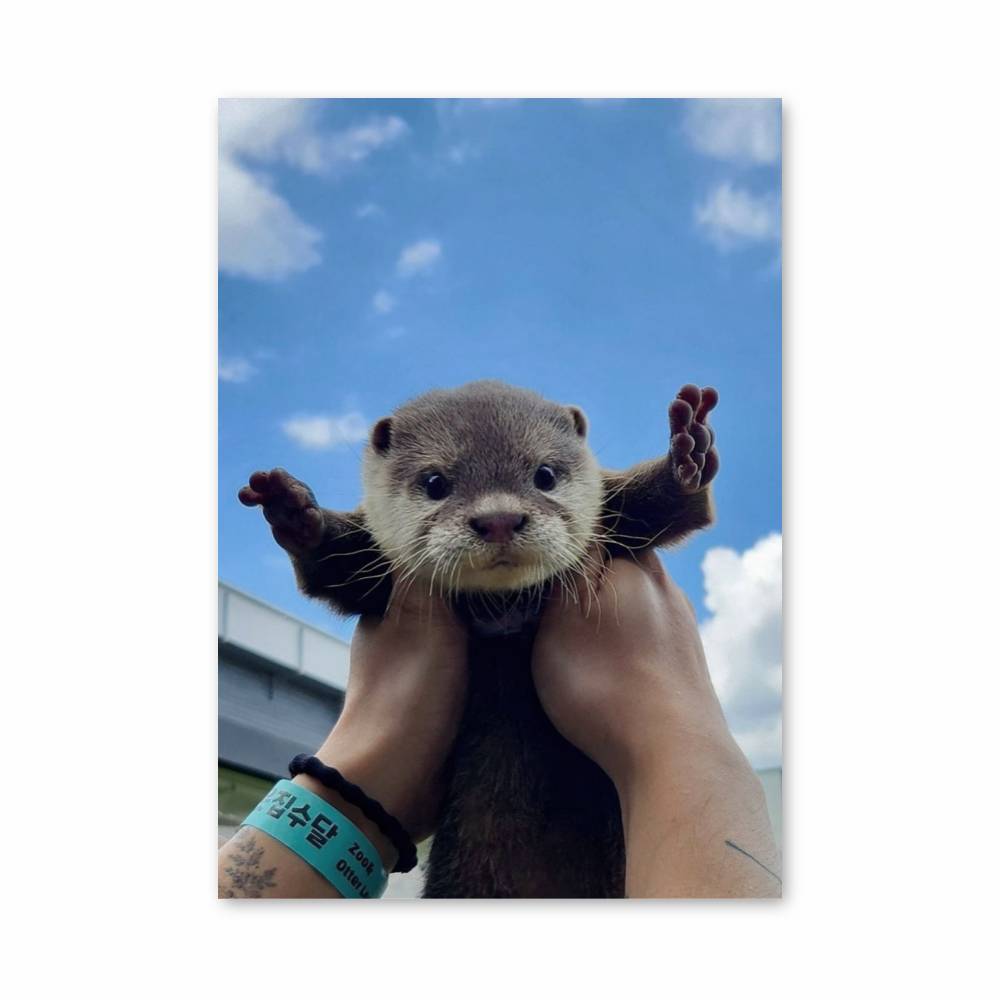 Poster Loutre Joyeuse