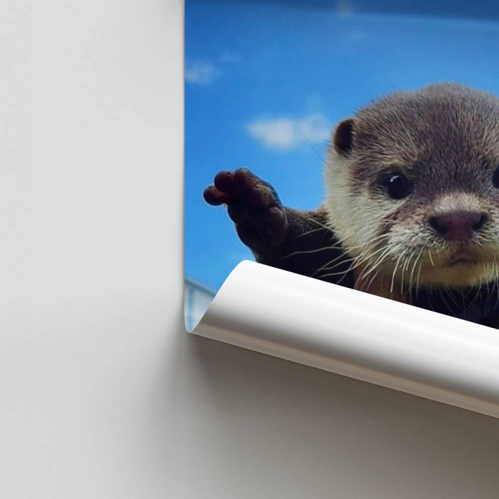 Póster Lontra Feliz