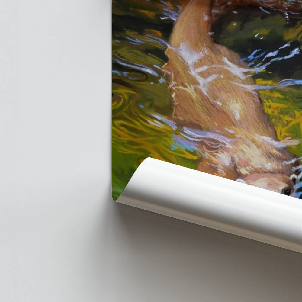 Pôster Lontras brincalhonas