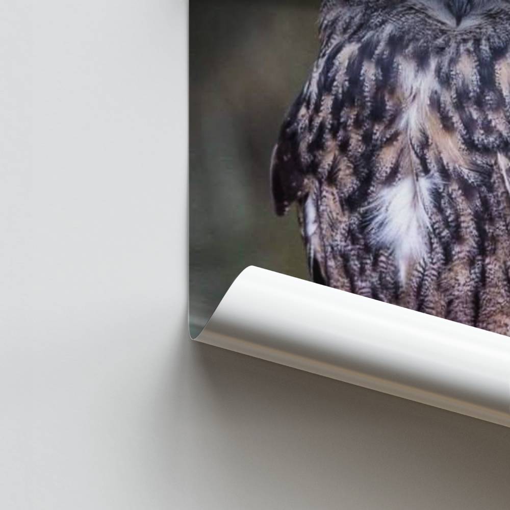 Pôster Majestoso Grão-Duque