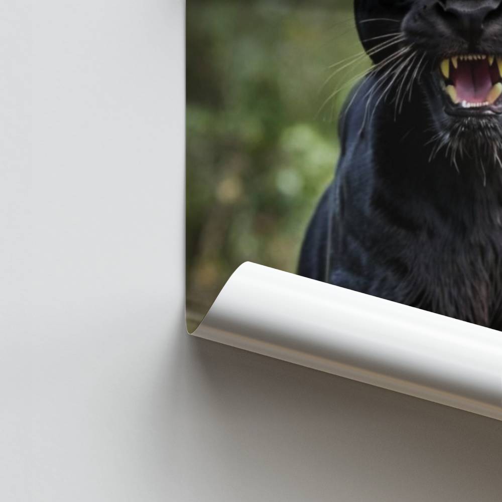 Pôster Pantera Majestosa