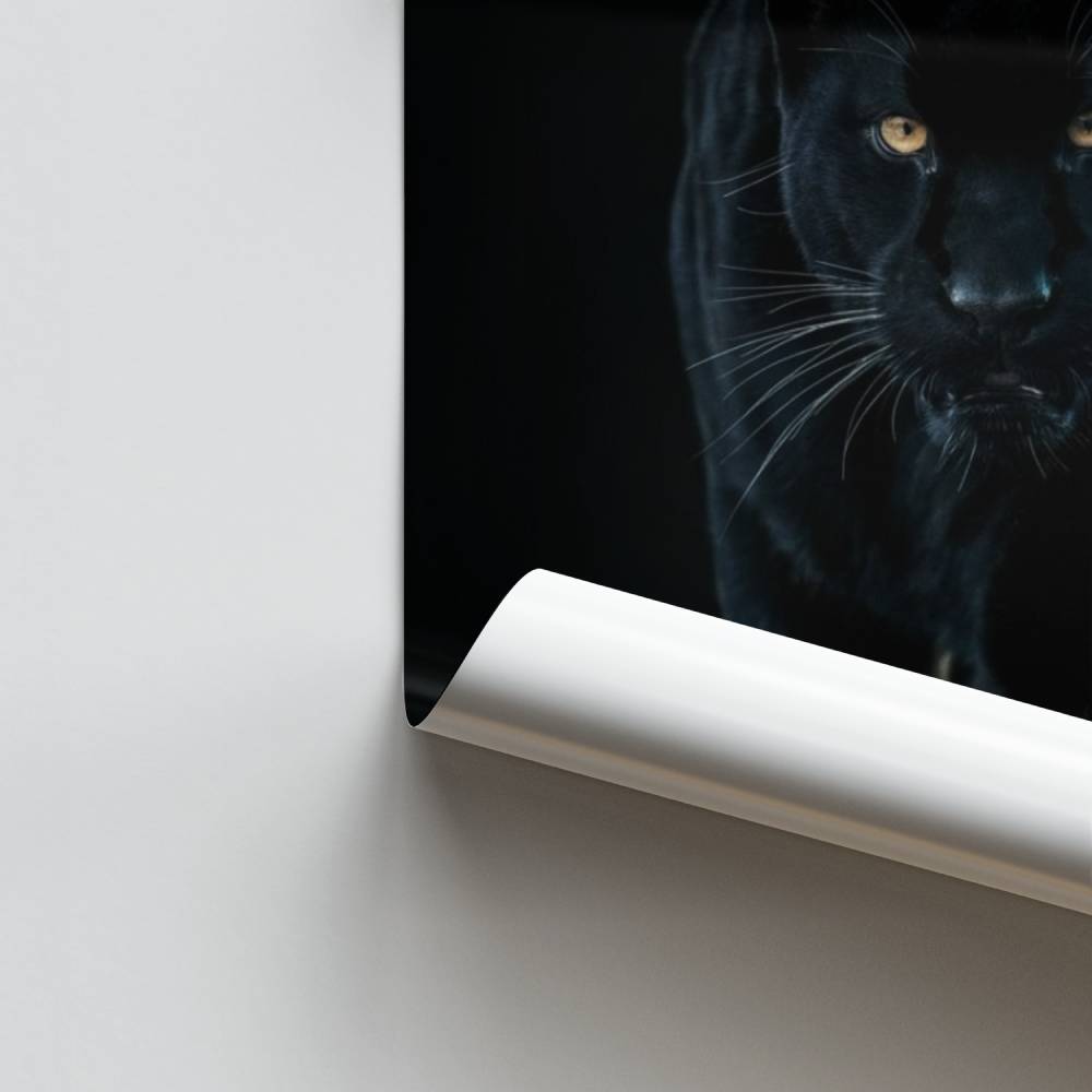 Póster Felino Escuro