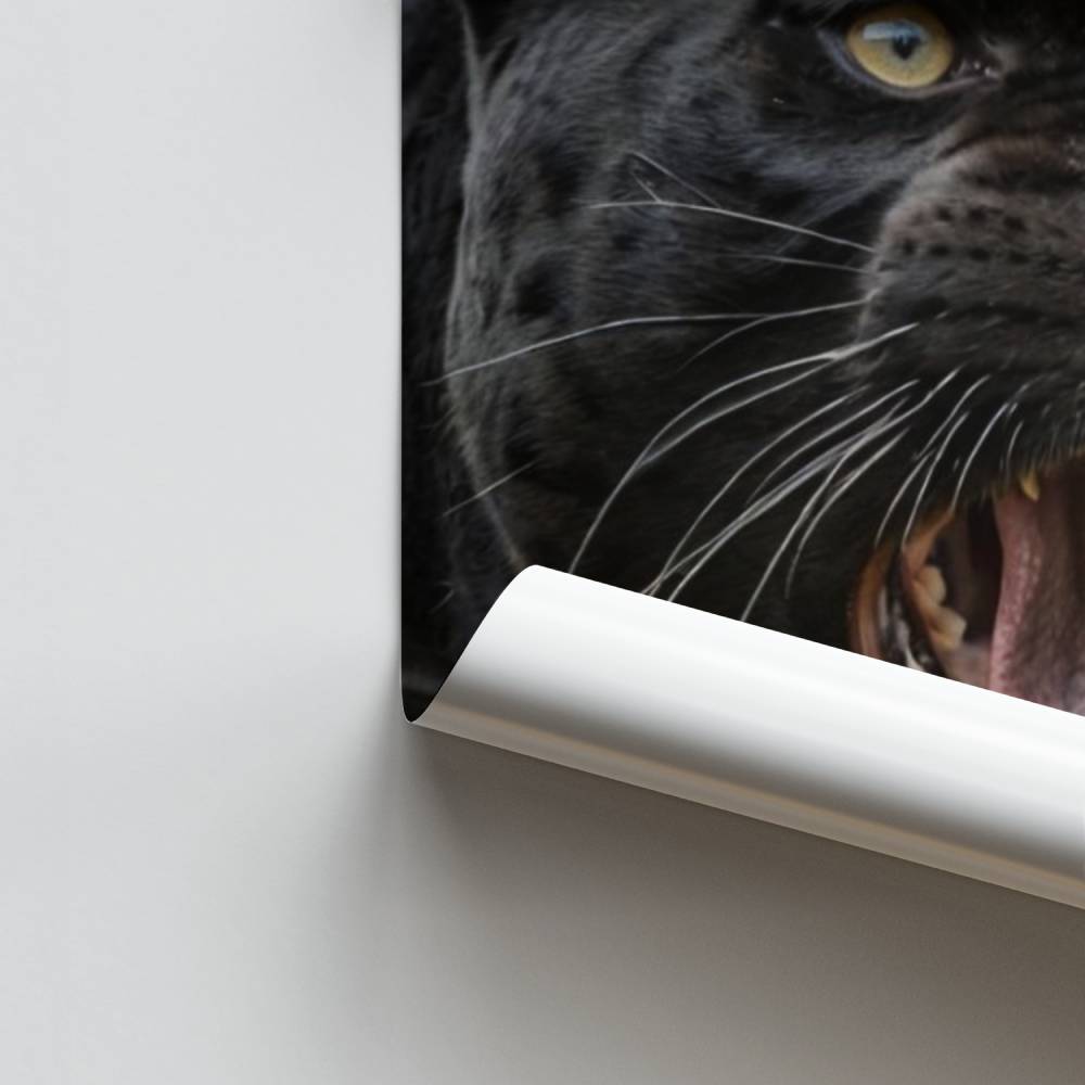 Pôster Rugido da Pantera