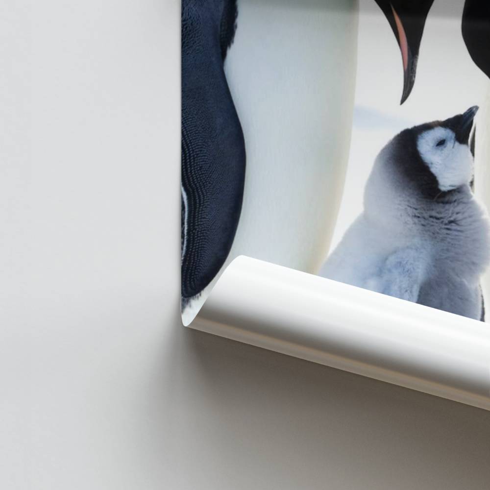 Pôster da Família Imperial