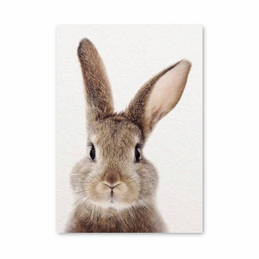 Poster Lapin Doux