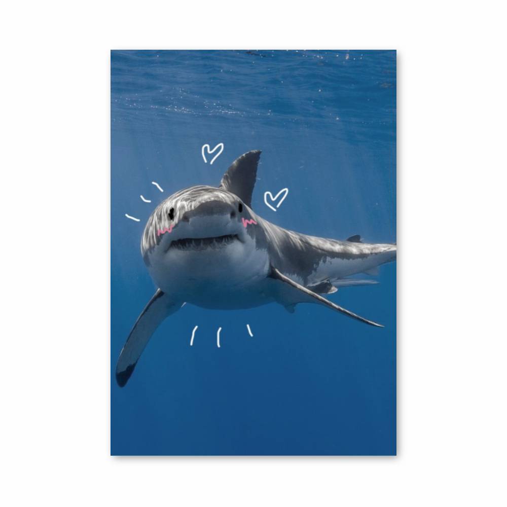 Poster Requin Amoureux