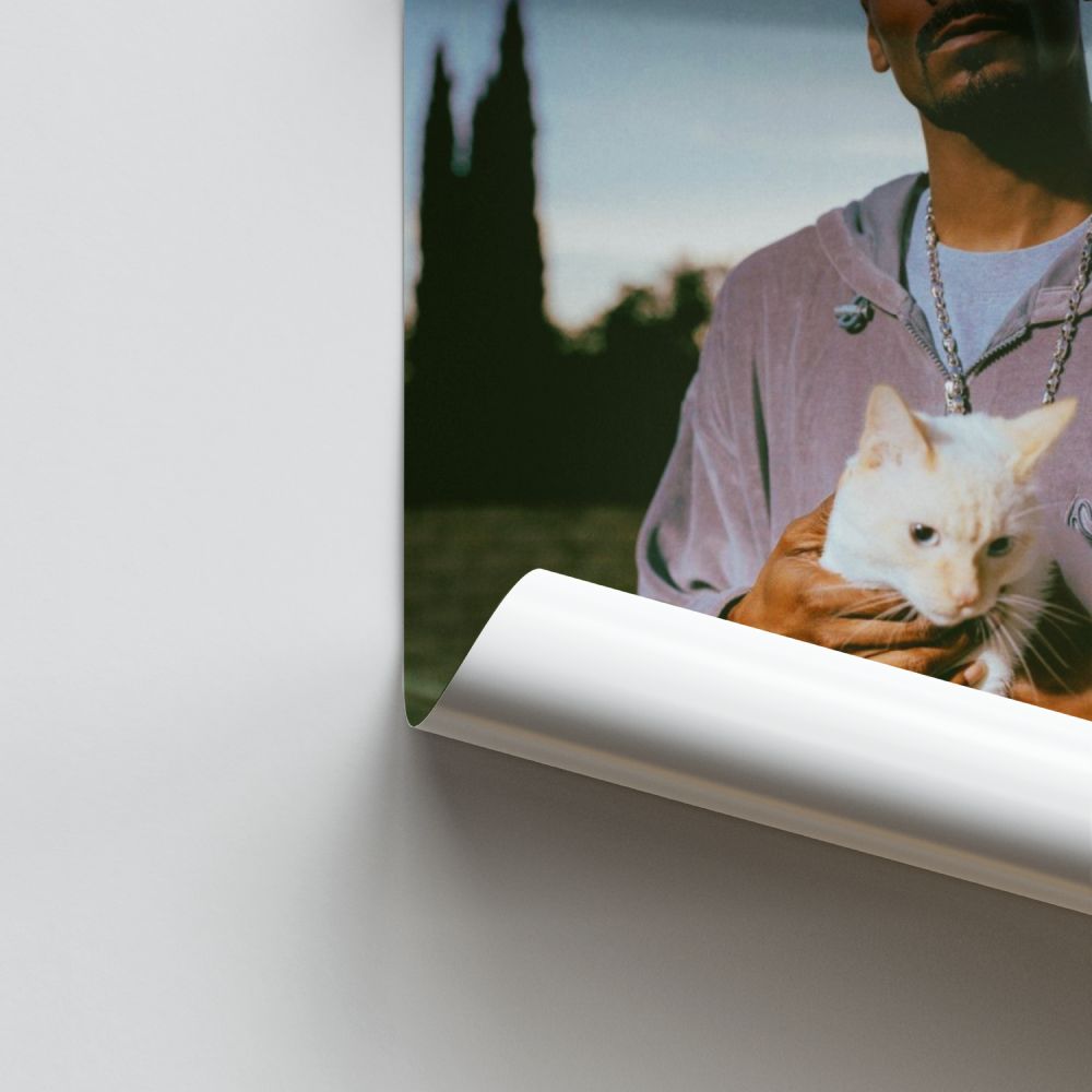 Pôster Gato Snoop Dogg