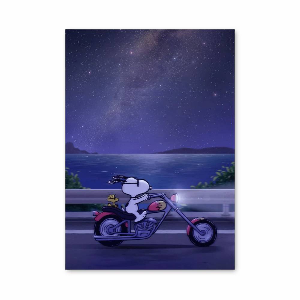 Poster Évasion Nocturne