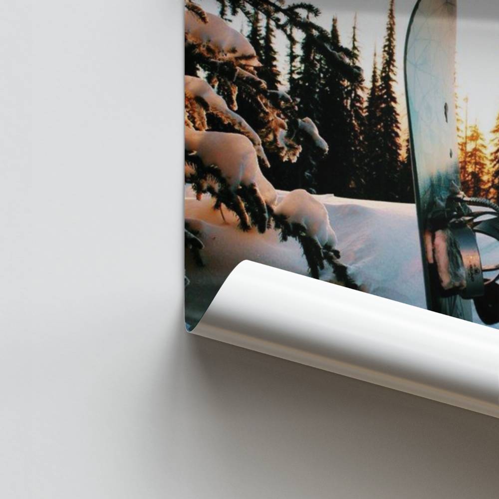 Pôster de fuga de inverno