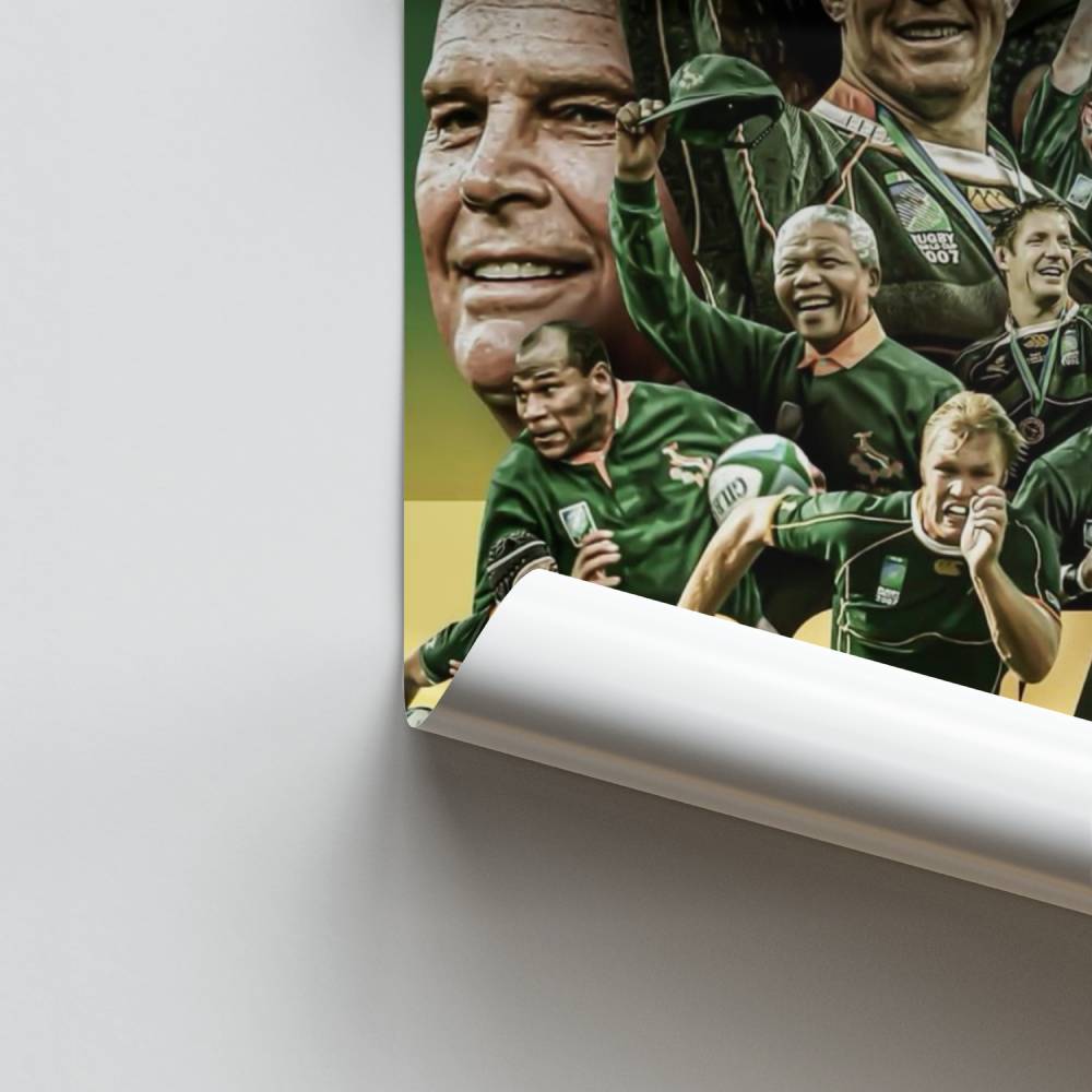 Pôster de energia Springboks