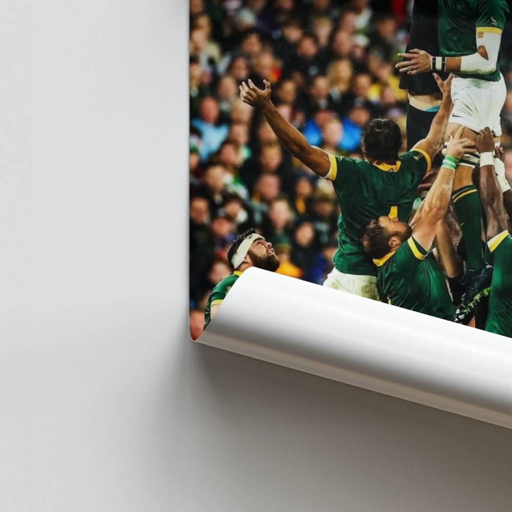 Poster Ascension Springbok