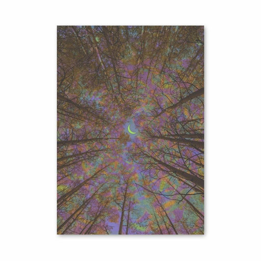 Poster Rêverie Lunatique