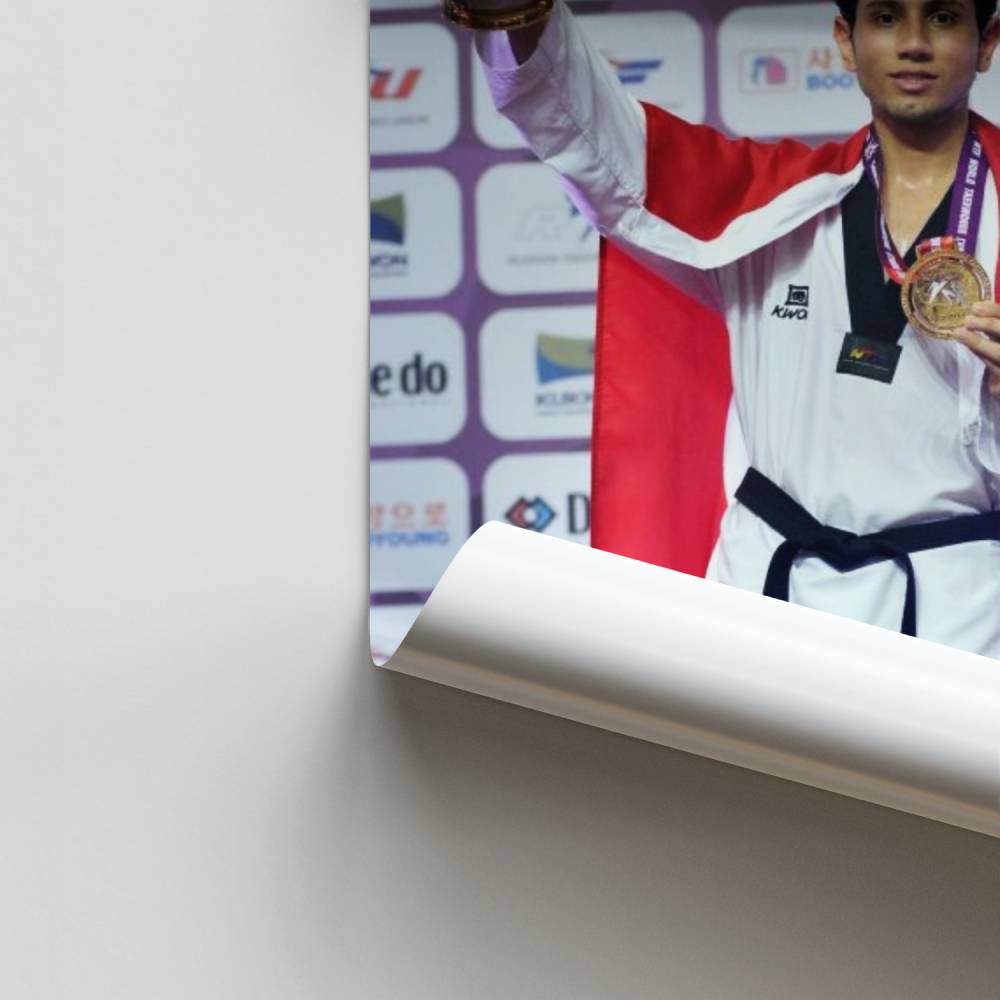 Pôster do campeão de taekwondo