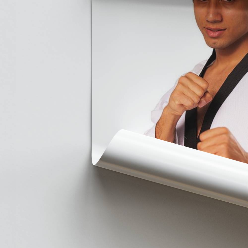 Pôster do espírito de Taekwondo