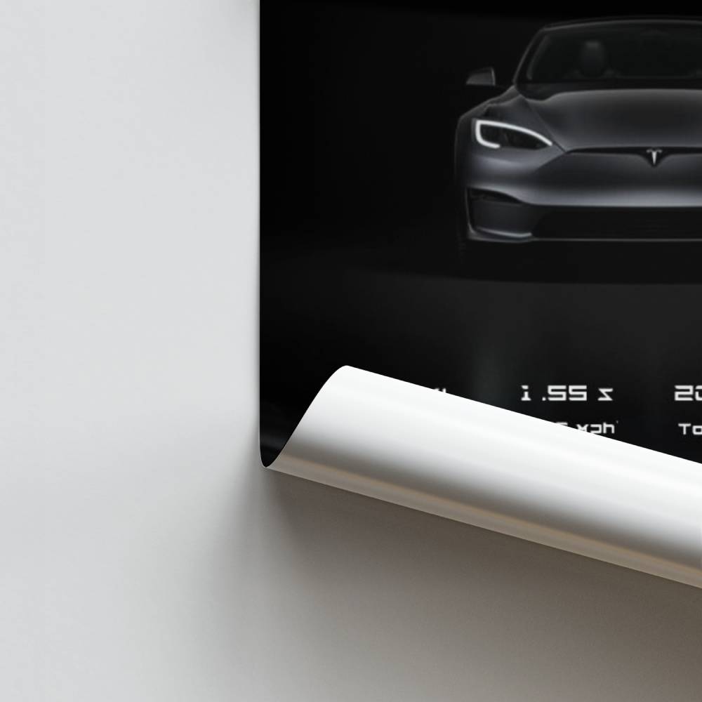 Poster Tesla Performance Plaid