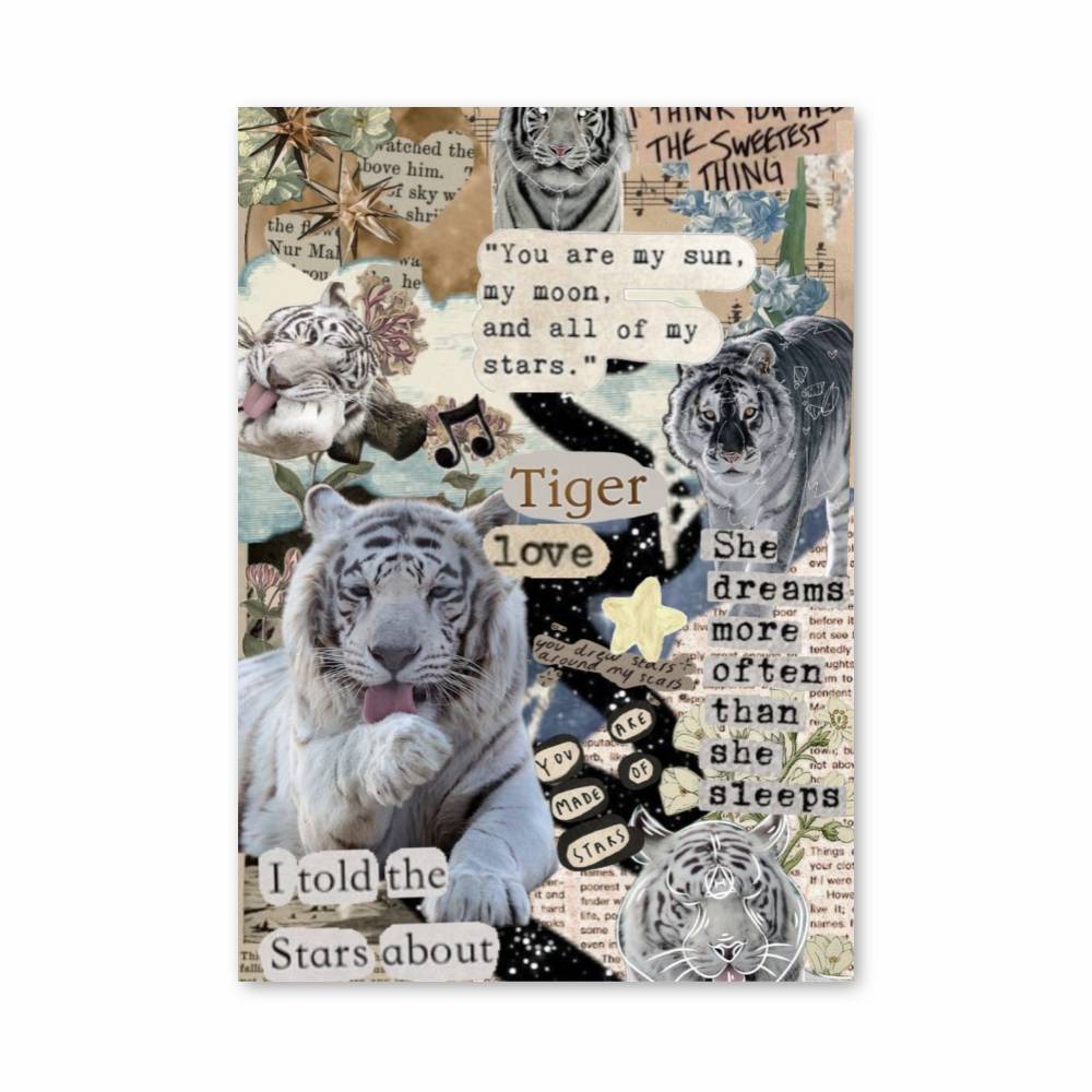 Poster Rêve de Tigre