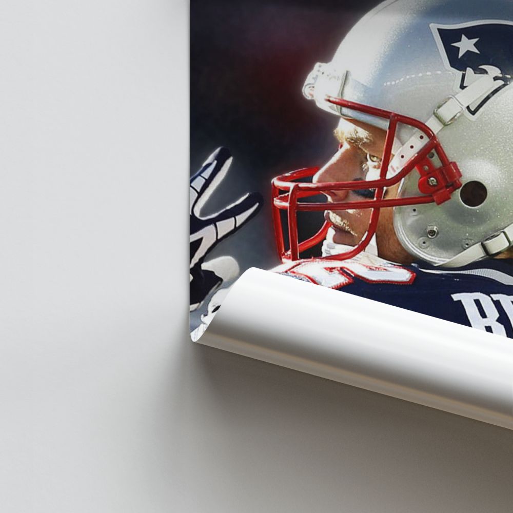 Pôster Brady