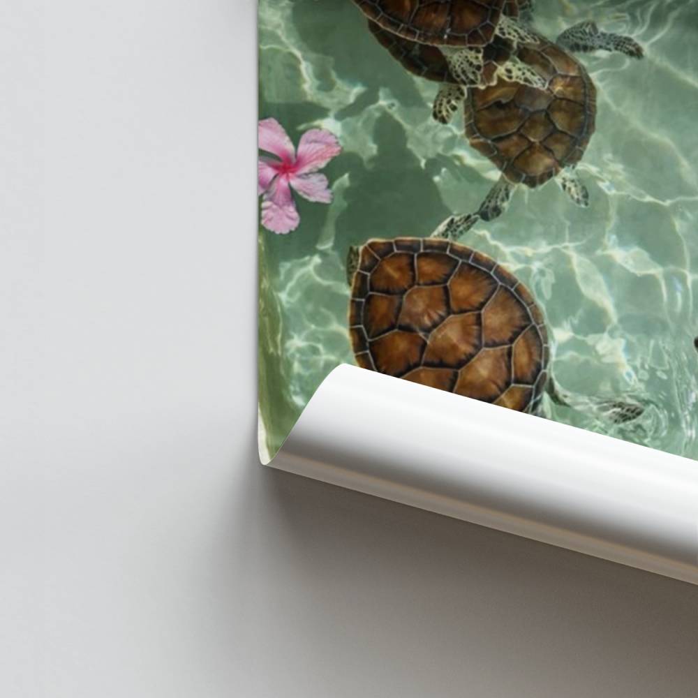Póster Tartarugas Tropicais