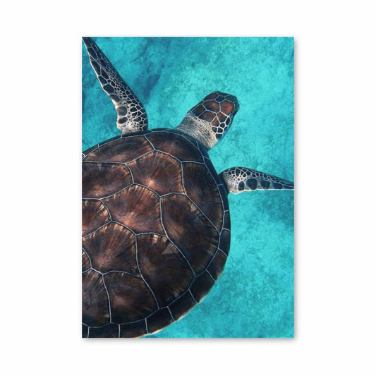 Poster Océan Sérénité