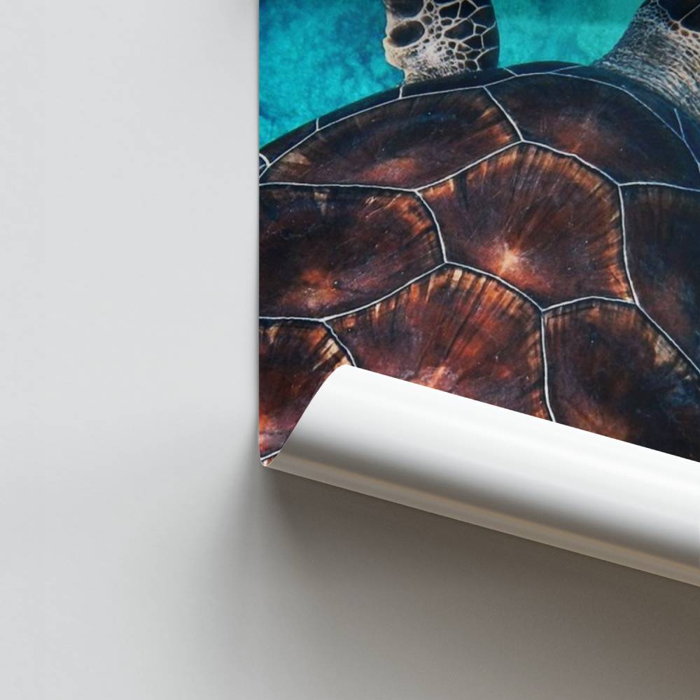 Póster Ocean Serenity