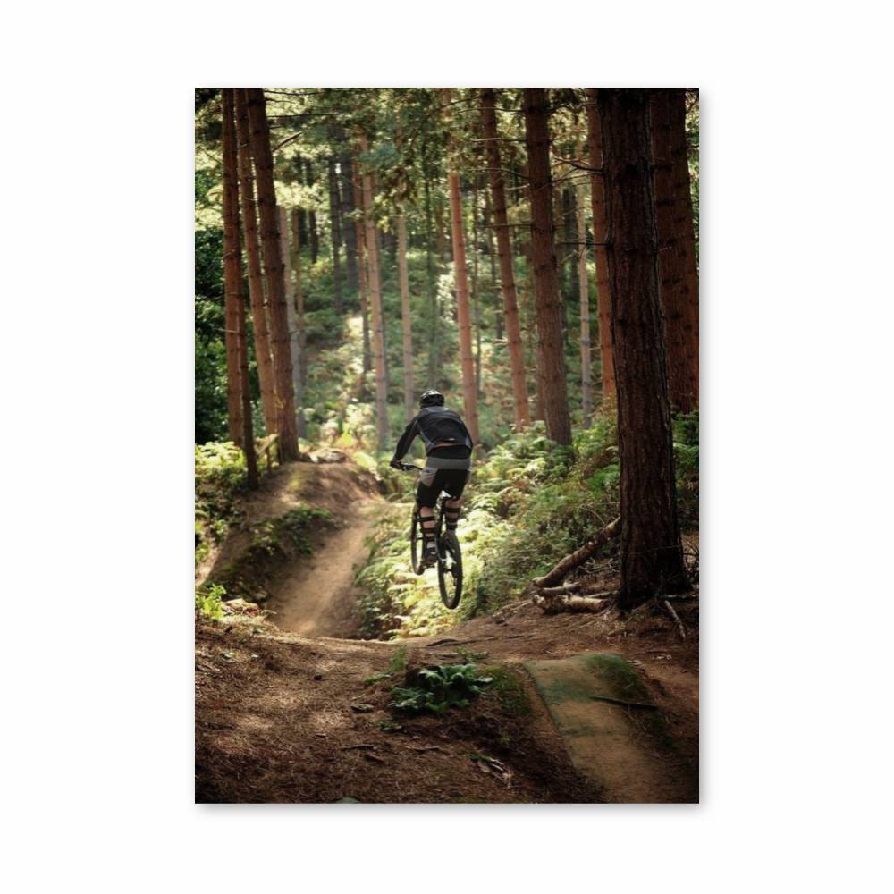 Poster Évasion de la Forêt