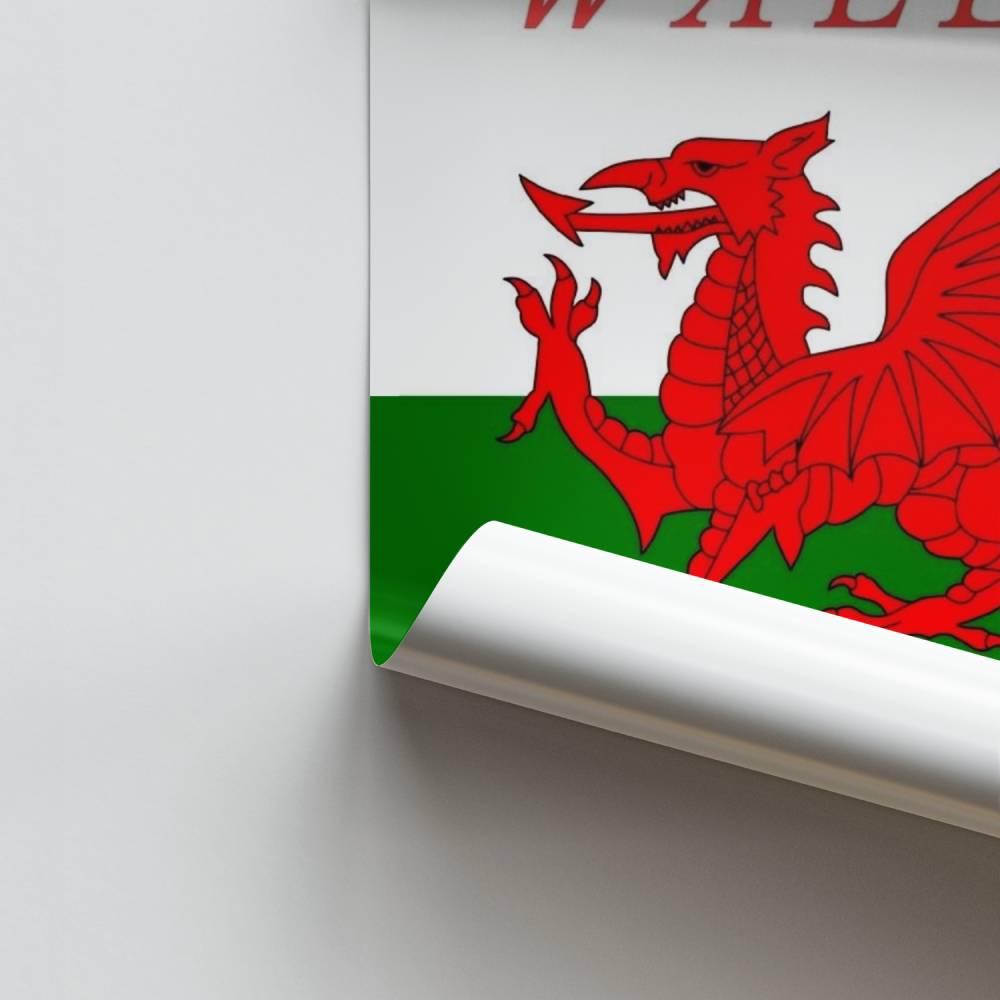 Poster Apoio Welsh Rugby