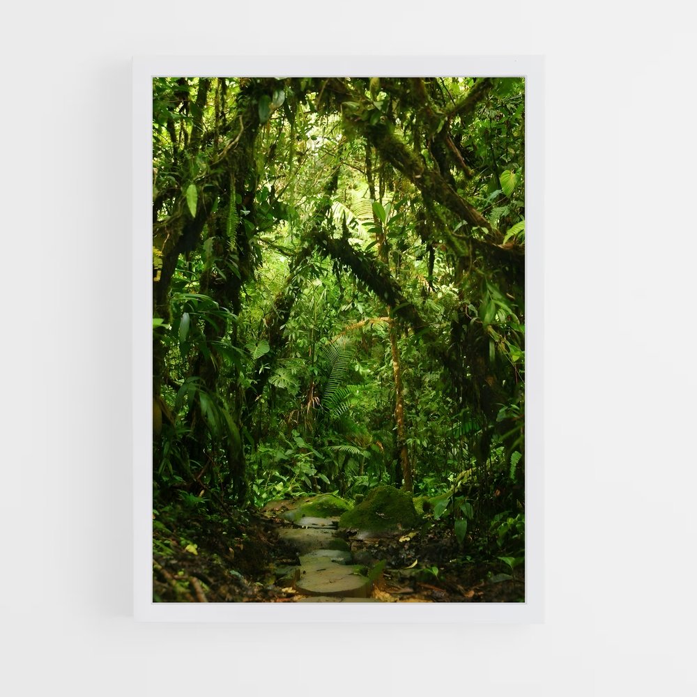 amazonia-11 cadre Blanc