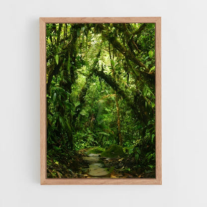 amazonia-11 cadre Bois clair