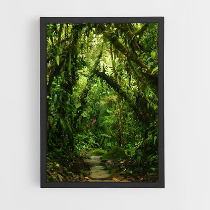 amazonia-11 cadre Noir