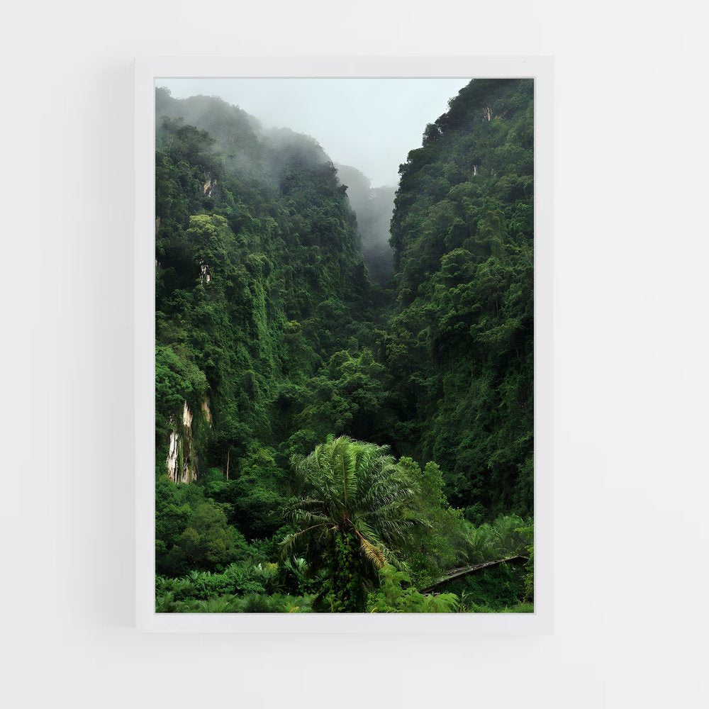 amazonia-13 cadre Blanc