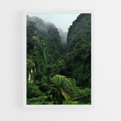 amazonia-13 cadre Blanc