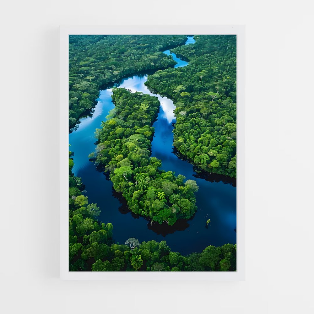 amazonia-2 cadre Blanc