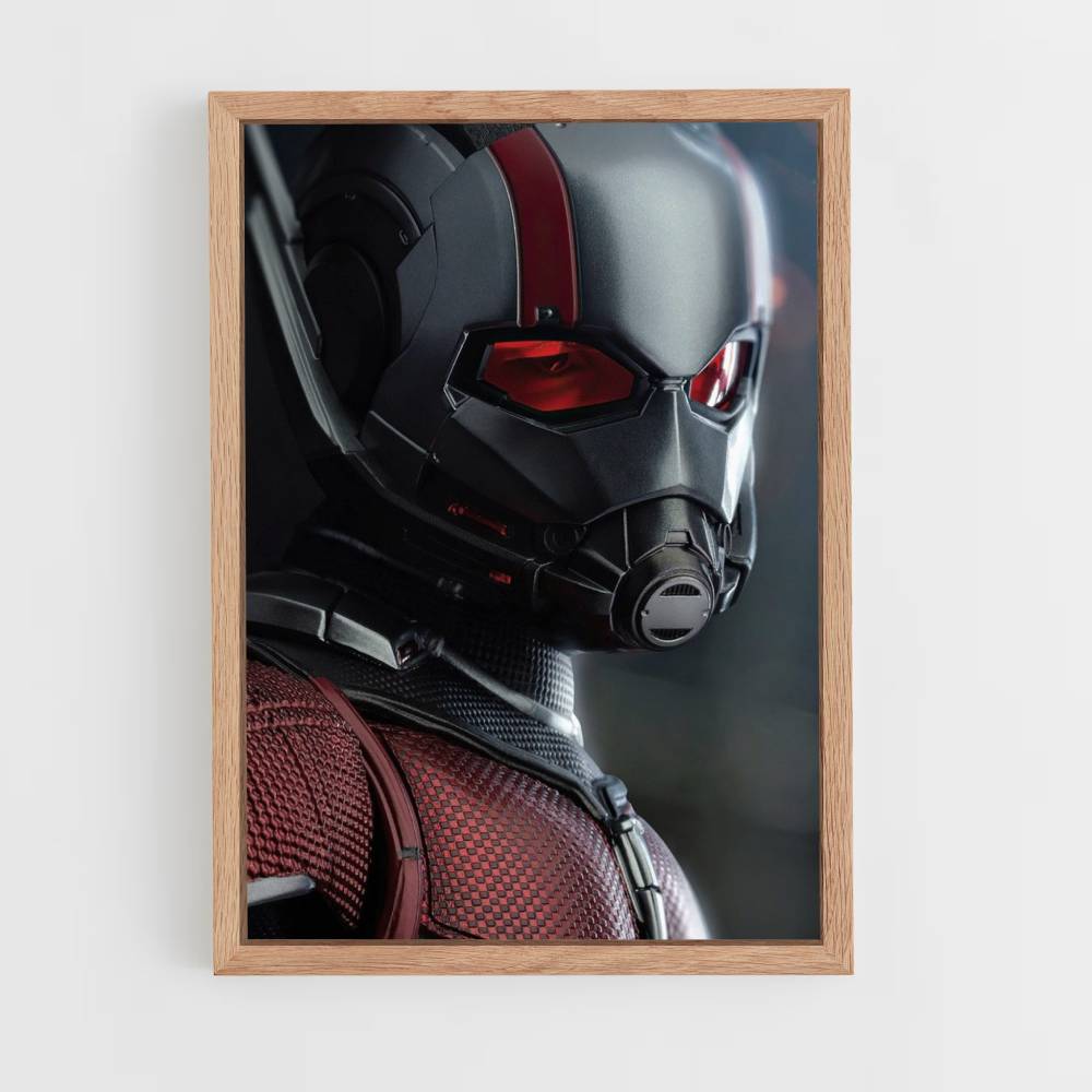 Pôster da máscara do Antman