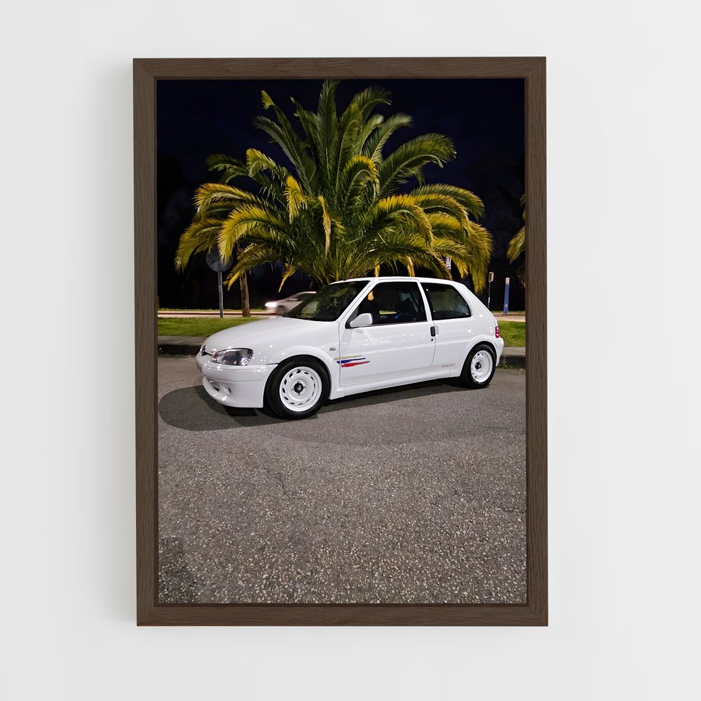 ap-106 rallye-1 cadre Bois foncé