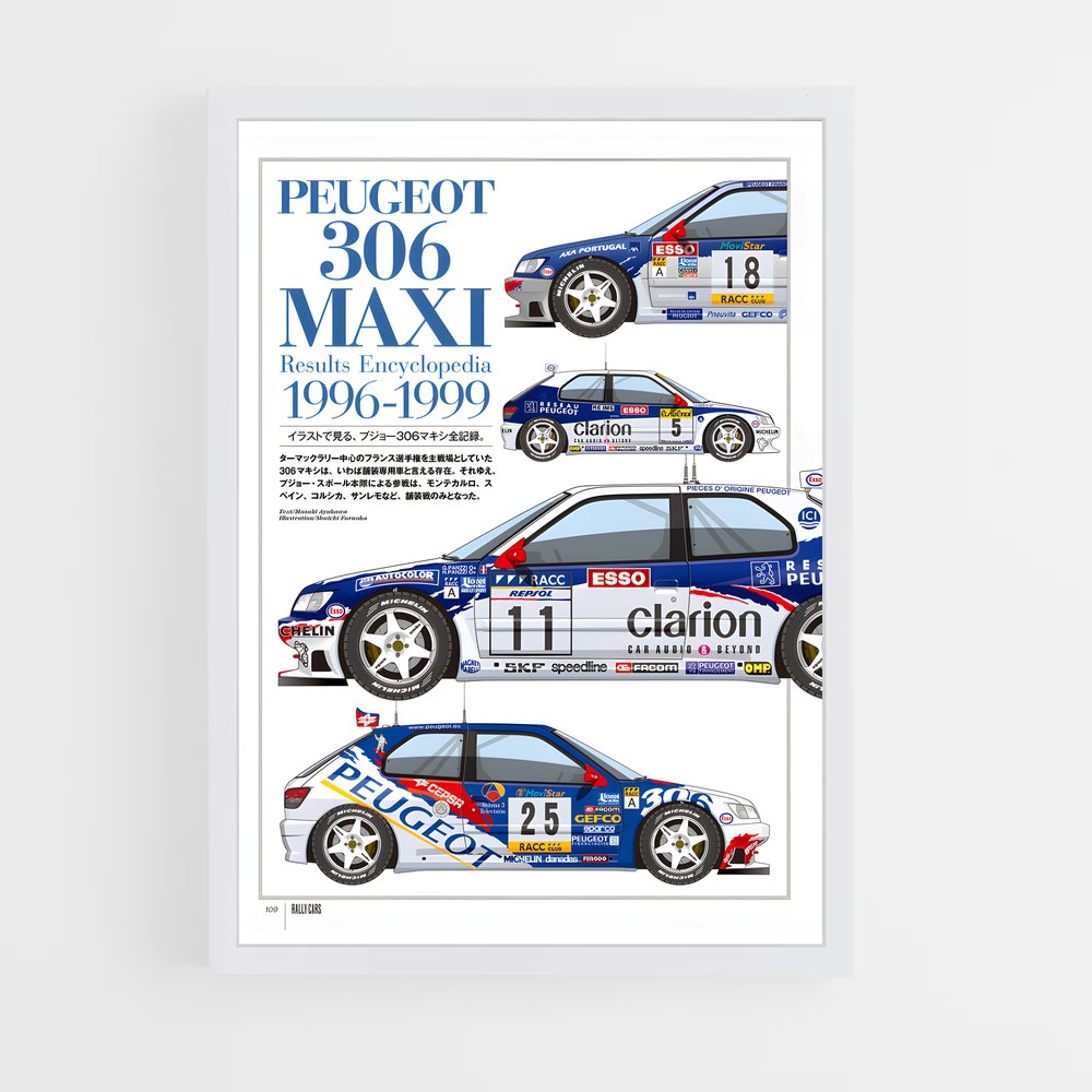 ap-106 rallye-2 cadre Blanc