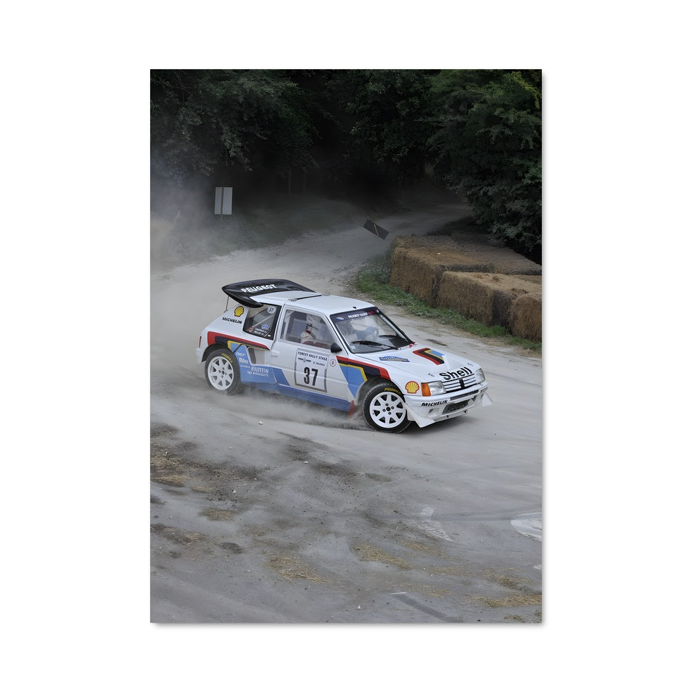 Poster 205 rallye 79114