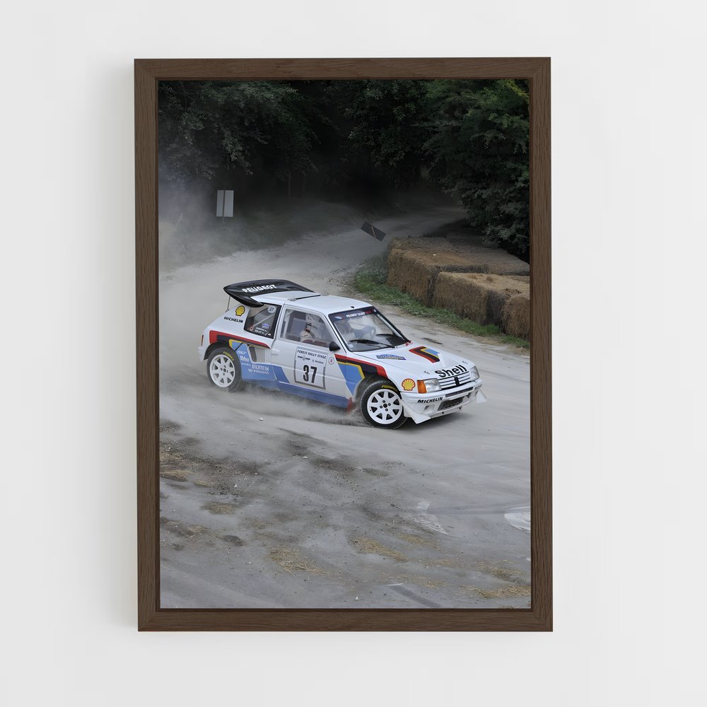 ap-205 rallye-7 cadre Bois foncé