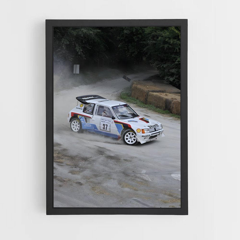 ap-205 rallye-7 cadre Noir