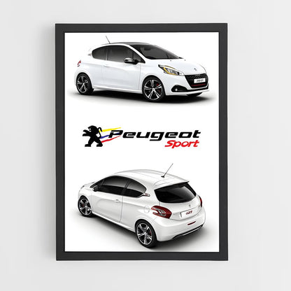 ap-208 gti-5 cadre Noir