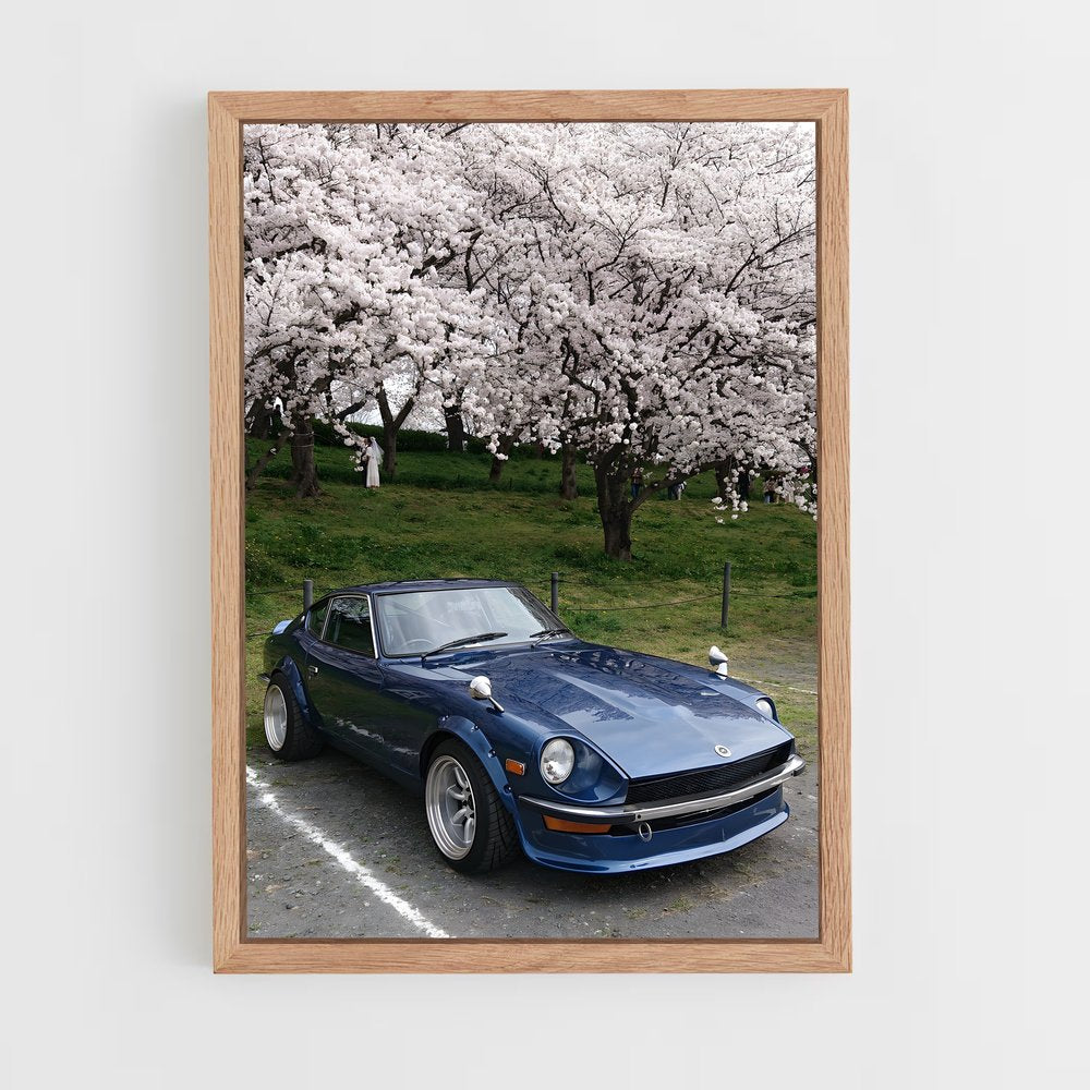 ap-240z-2 cadre Bois clair