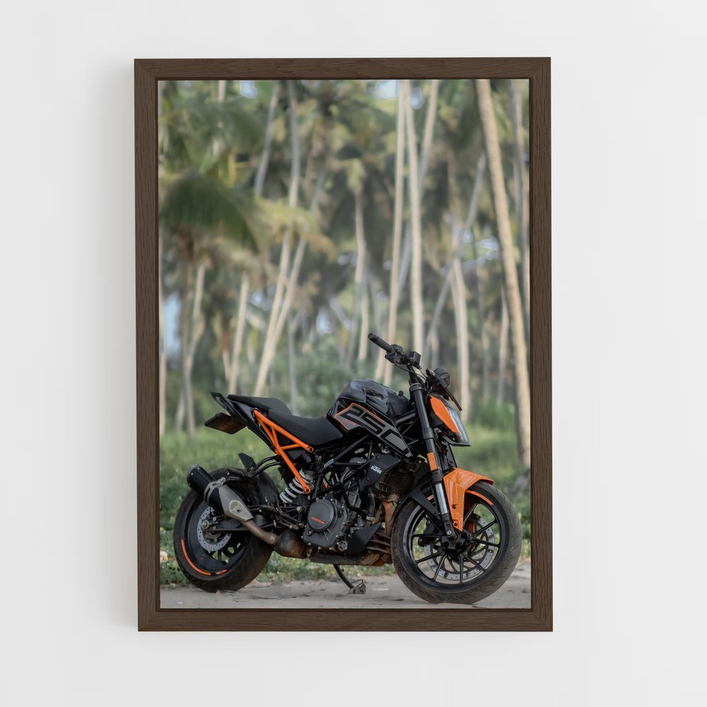 ap-250 duke-1 cadre Bois foncé