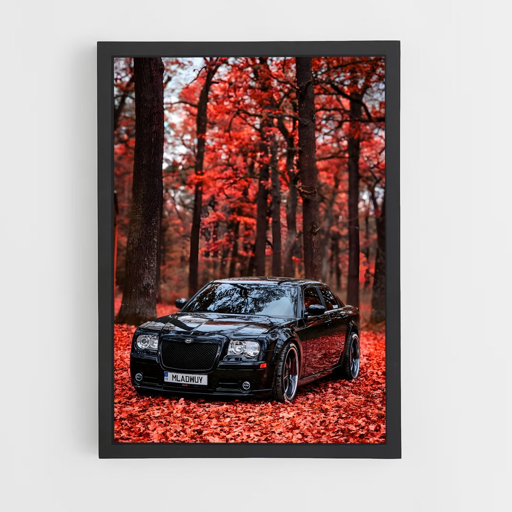ap-300 srt-1 cadre Noir
