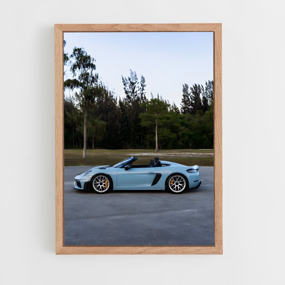 ap-718 spyder-2 cadre Bois clair